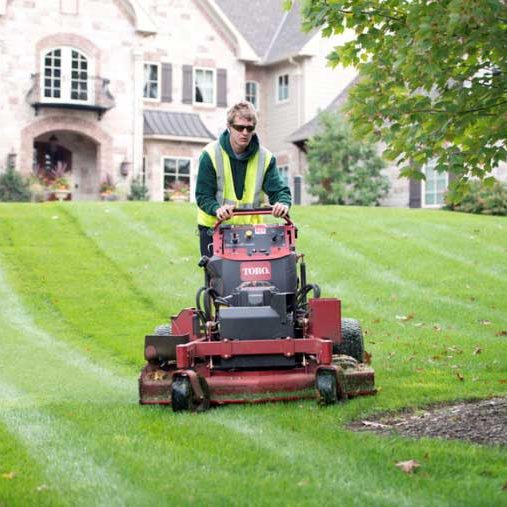 Lawn Cutting Website Image
